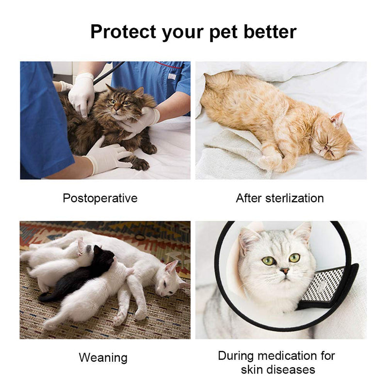 Due Felice Cat Professional Surgical Recovery Suit for Abdominal Wounds Skin Diseases, After Surgery Wear, E-Collar Alternative for Cats Dogs, Home Indoor Pets Clothing Blue M - PawsPlanet Australia