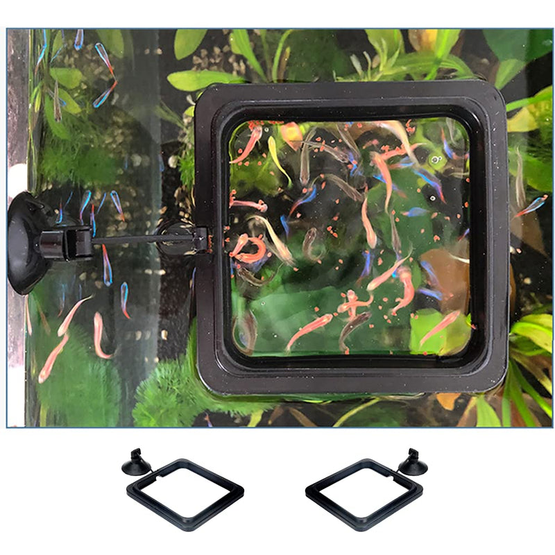 WanFengXue 2 Pcs Fish Feeding Ring Black 10cm Square Aquarium Fish Feeder with Suction Cups for Goldfish and Other Smaller Fish - PawsPlanet Australia
