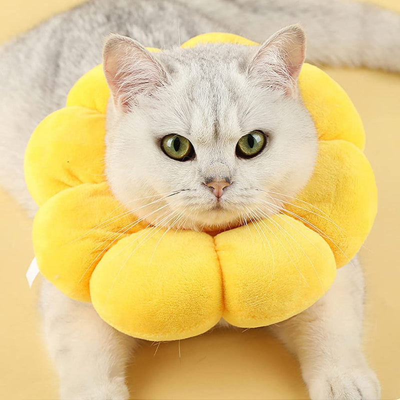 Pet protective collar, neck collar, cat collar, soft, cat recovery collar, adjustable cat recovery collar, for cats, puppies, pet anti bite, leak, surgery, wound healing - PawsPlanet Australia