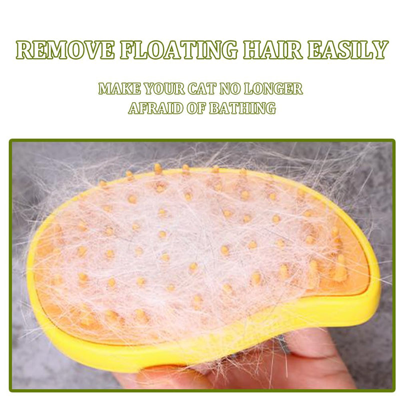 RUOPAN 3 In 1 Self Cleaning Cat Steamer Brush - Removes Tangled Hair and Massages - PawsPlanet Australia