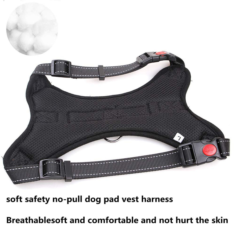 [Australia] - Jxinrong Dog Leash Harness Adjustable & Durable Leash Set & Heavy Duty Denim Dog Leash Collar for Small, Medium and Large Dog, Perfect for Daily Training Walking Running Black 