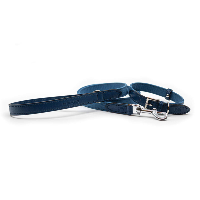 Project Blu Eco Friendly E-Leather Dog Collar, Sustainable and Recycled Pet Collar (Small, Monterey) Small - PawsPlanet Australia