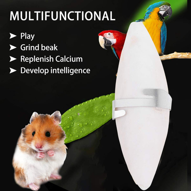 Balacoo Bird Cuttlebone for Parakeets, Natural Cuddle Bone with Metal Holder, Chewing Cuttlefish Bone for Natural Birds Calcium Suitable for Parrot Cockatiels (6 Pack) - PawsPlanet Australia