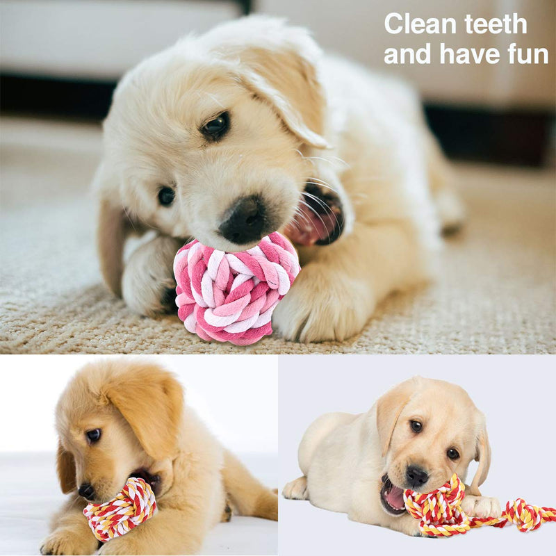 Nabance 10PCS Dog Toys Cotton Puppy Chew Toys Teething Training Avoiding Dogs Boredom Anxiety Interactive Toy for Small Medium Dogs Puppy Dog Birthday Gift Sets Dog Toy 1 - PawsPlanet Australia