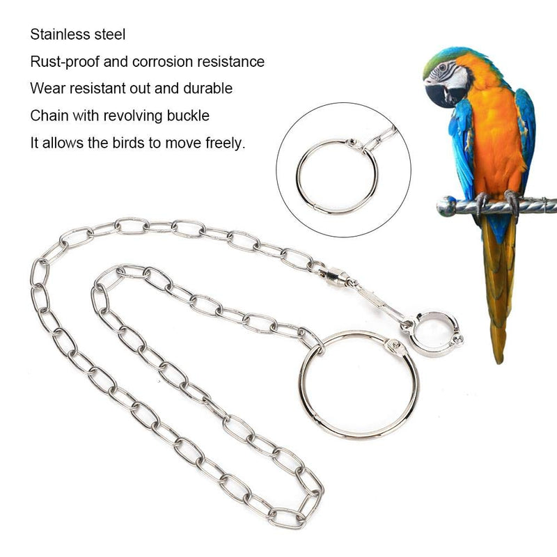 ViaGasaFamido Parrot Foot Chain, Stainless Steel Split Anti Flying Bird Foot Chain Large Parrot Anti Escape Training Anklet Ring for Birds Parrots - PawsPlanet Australia