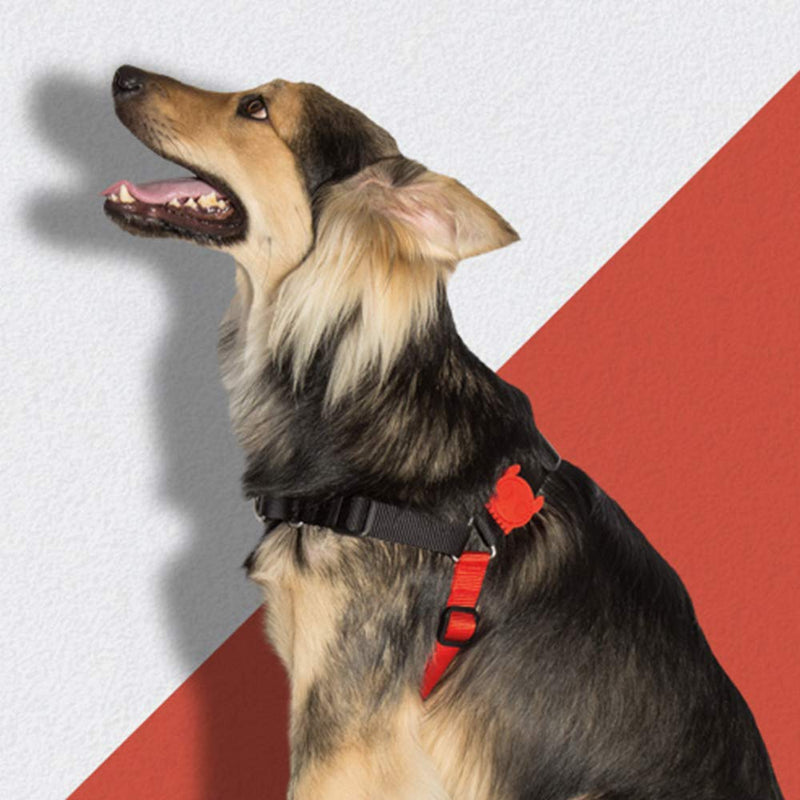 [Australia] - ZEE.DOG | Soft-Walk Dog Harness | No-Pull Dog Harness | Easy to Use Harness for Dogs Fatboy Medium 