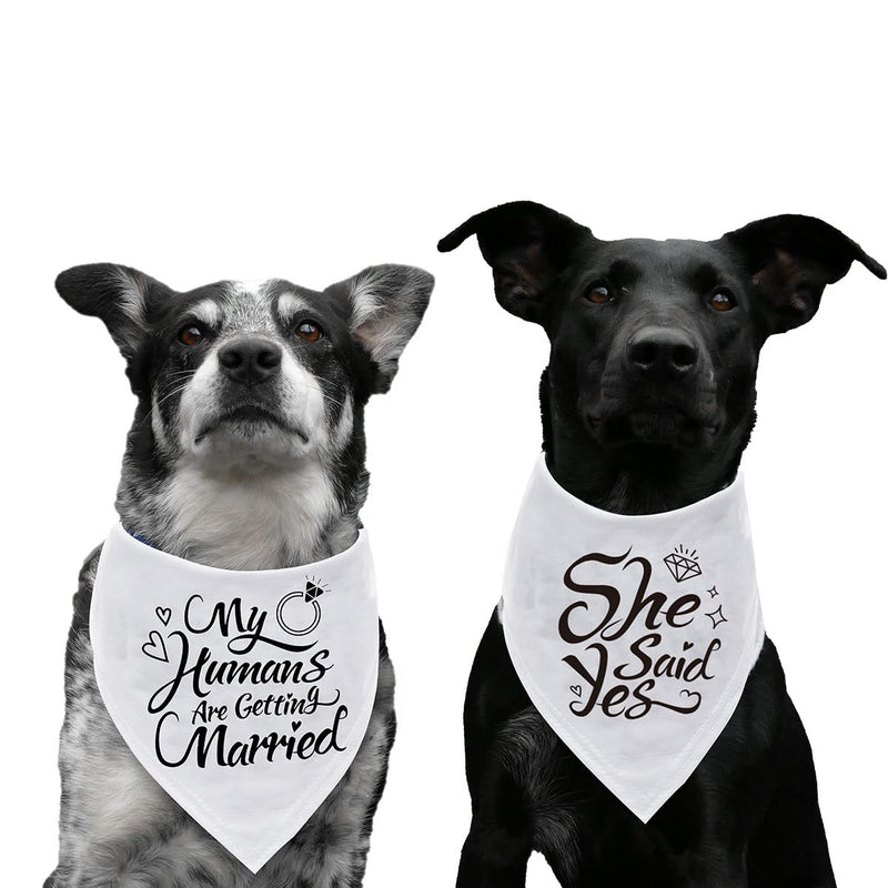 Engagement Gift, My Humans are Getting Married She Said Yes Dog Bandana, Wedding Photo Prop, Pet Scarf, Dog Engagement Announcement, Pet Accessories, Pack of 2 - PawsPlanet Australia