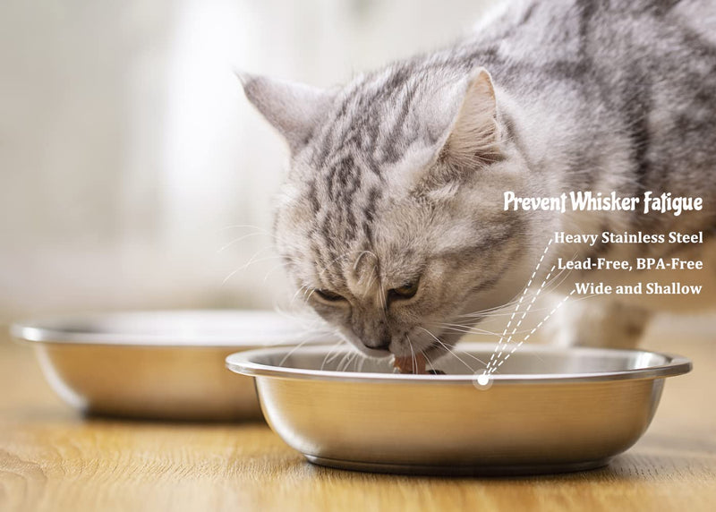 BiteKing Stainless Steel Cat Bowls, Whisker Fatigue Relief Cat Food Dish, Metal Shallow Wide Large Replacement Plate for Dog and Pet, Ideal for Raised Elevated Pet Feeding Station Stand 2 Pack 1¼ Cup/10 oz ea. - PawsPlanet Australia