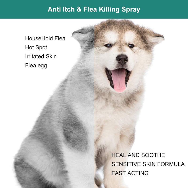 SEGMINISMART Flea Spray,Dog Fleas Protection Spray,Cat Flea Treatment,Tick and Flea Treatments for Dogs,Flea Spray For Dogs,Tick and Flea Protective for Dogs Cats - PawsPlanet Australia