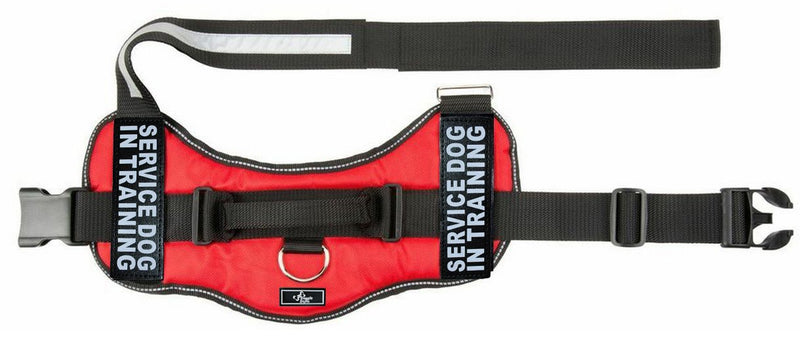 [Australia] - Doggie Stylz Service Dog in Training Vest with Hook and Loop Straps and Handle – Harness Comes in Sizes XXS to XXL – Three Colors – Service ¬Dog Vest Harness Features 2 Reflective Patches Girth 24-31" Red 