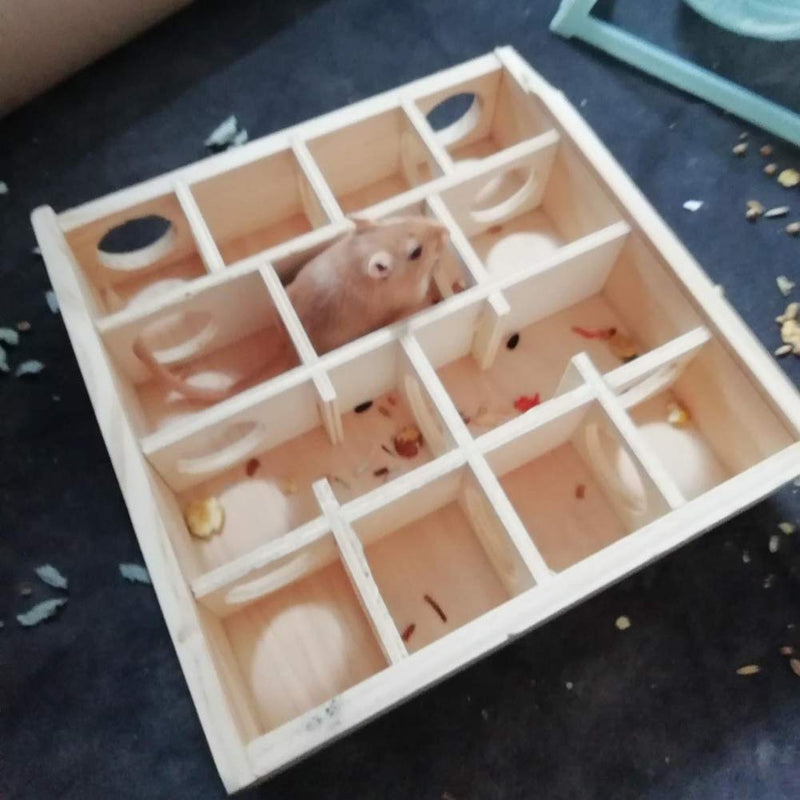 DINGZHAO Hamster Maze, Glass Cover Wooden Tunnel Toys Playing Small Animal House for Pet, Dwarf, Hamster, Gerbil, Rat Mouse - PawsPlanet Australia