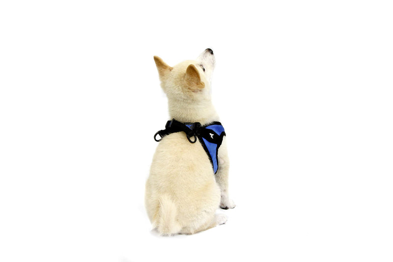 Gooby Escape Free Easy Fit Harness - No Pull Step-in Patented Small Dog Harness with Quick Release Buckle - On The Go No Pull Harness for Small Dogs or Medium Dog Harness for Indoor and Outdoor Use X-Small chest (15~17.25") Blue - PawsPlanet Australia