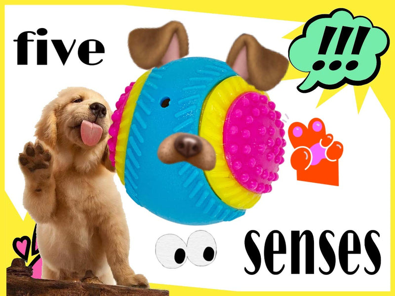 AVANZONA Dog Ball, 5 Senses Rubber Ball 8 CM, Balls for Dogs, Sensory Ball of Sight, Hearing, Touch, Smell, Taste, Ball for Blind Dogs and Small, Medium and Large Dogs. - PawsPlanet Australia