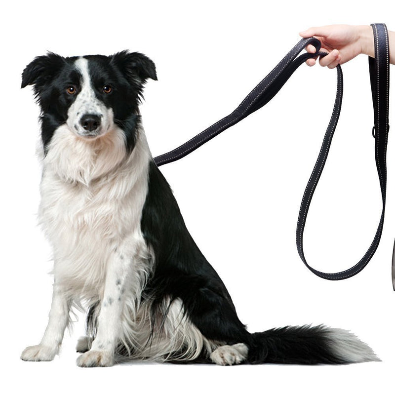 [Australia] - Pet Gear Dog Leash, Traffic Control Safety Training Dog Rope, Walking Heavy Duty Reflective Leashes with Two Handles for Big Medium Small Dogs blakc 