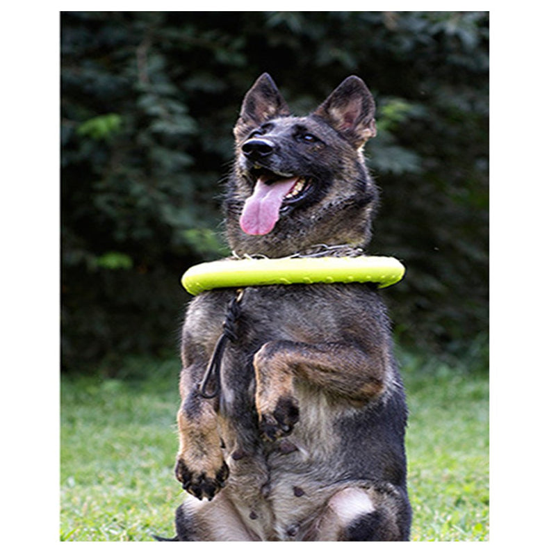 Large Dog Toys Ring Water Floating, Outdoor Fitness Flying Discs, Tug of War Interactive Training Ring for Medium and Big Dogs, 12 inch Large Green - PawsPlanet Australia