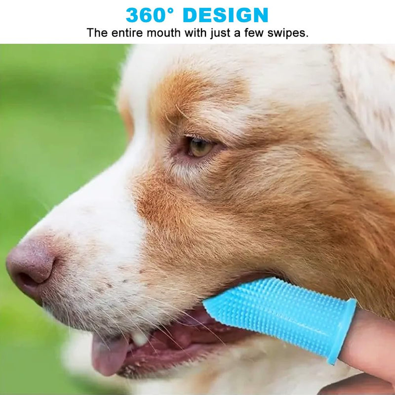 Pack of 8 Dog Toothbrushes, Silicone Dog Toothbrush, Finger Toothbrush, 360º Pets Teeth Cleaning Toothbrush for Dogs, Cats, Dental Care with Storage Box for Small, Medium and Large Dogs (4 Colors) - PawsPlanet Australia