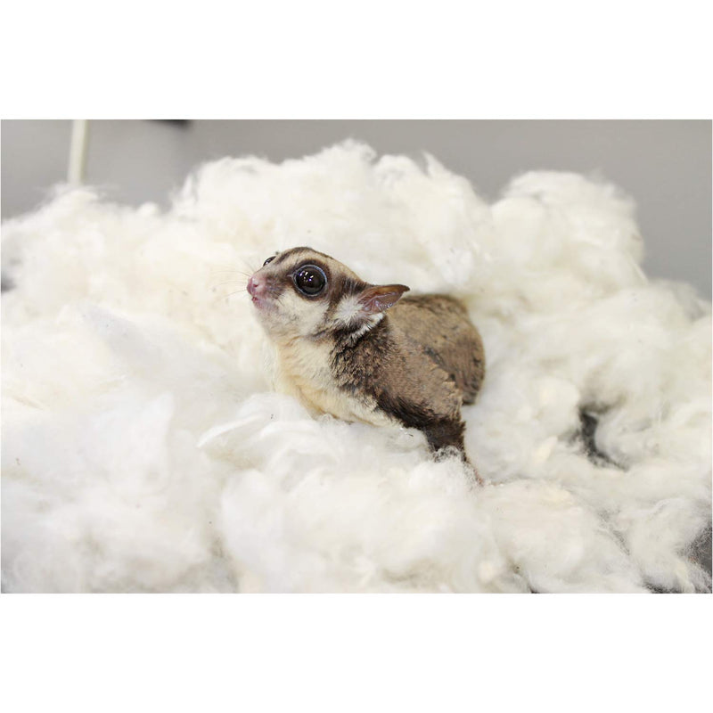 [Australia] - All-Natural Nesting Material - 100% Cotton Eco-Friendly Animal Bedding - For Sugar Gliders, Squirrels, Hamsters, Rabbits, Chinchillas, Rats, Mice, Gerbils, Guinea Pigs and Other Small Pets 4 oz. 