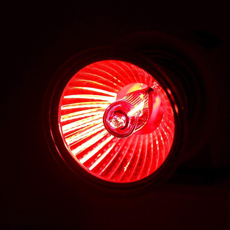 UVA UVB Reptile Heating Light Bulb Snake Turtle Pet Full Spectrum Sunlight Lamp 1Pc(100W) 100W - PawsPlanet Australia