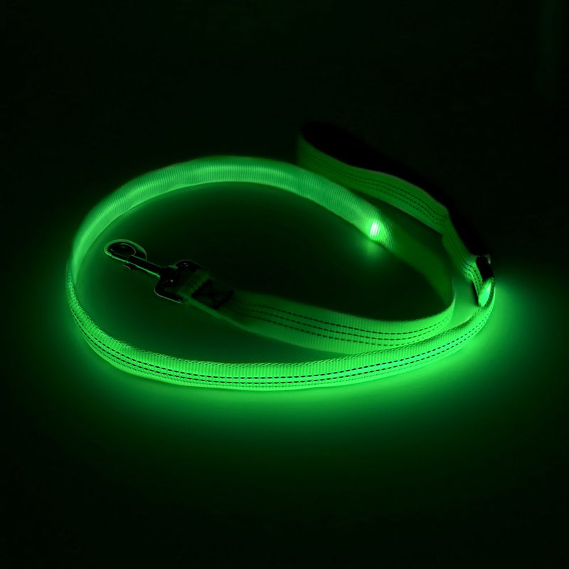 [Australia] - BSEEN LED Dog Leash - USB Rechargeable 47.2 inch 120 cm Reflective Night Safety Pet Leash LED Strip to Keep You and Your Dog Safe Neon Green 