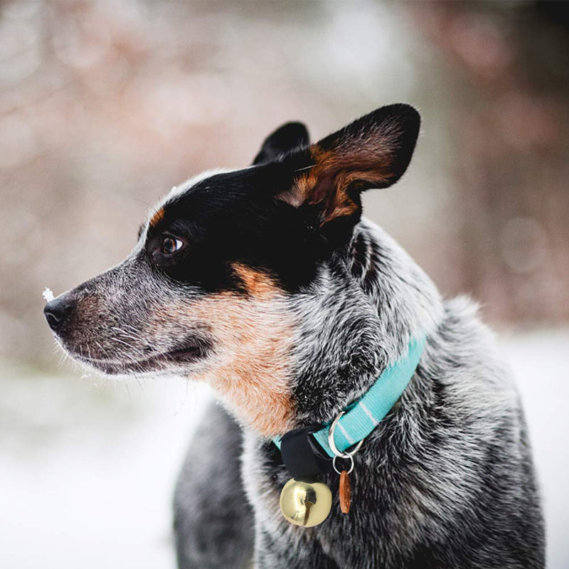 [Australia] - SCENEREAL Large Dog Collar Bell for Training, Hiking, Walking, Hunting(Bear Bell, Cow Bell) 