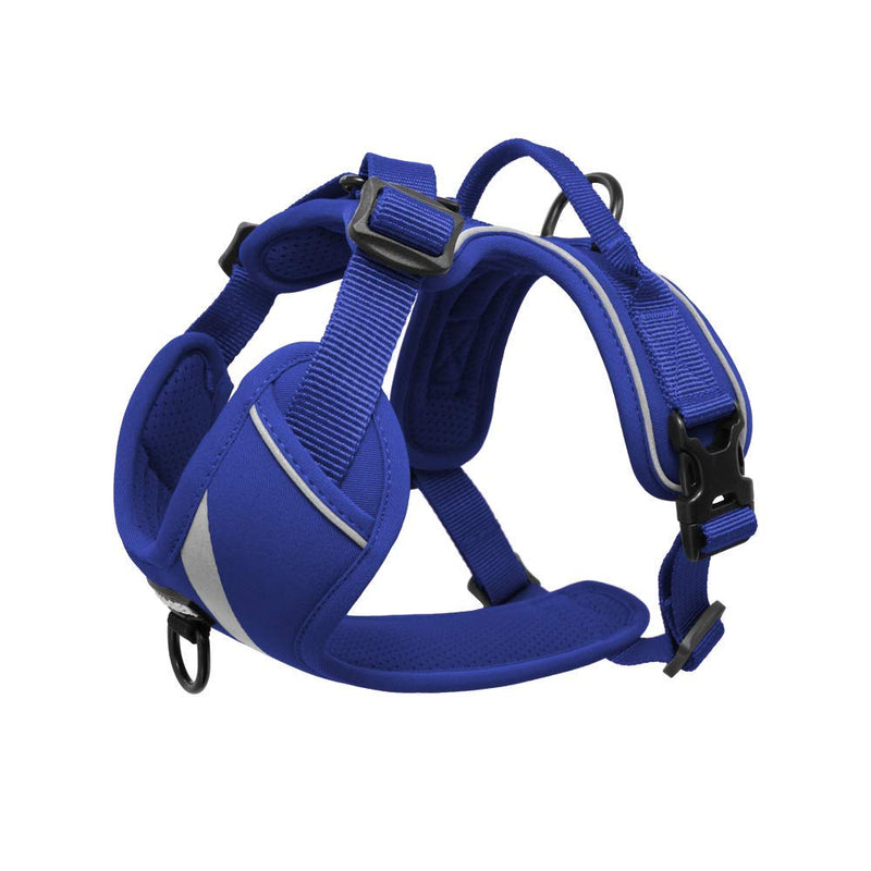 [Australia] - Maverick Dual Attachment Outdoor Dog Harness by Voyager | NO-pull Pet Walking Vest Harness - Royal Blue, Small 