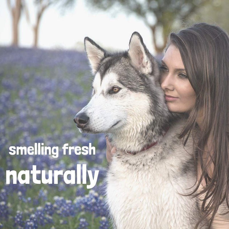 [Australia] - WashBar Natural Dog Freshening Spray, Lightly Scented, Lavender & Primrose, Dog Deodorant Spray Odor Eliminator, All Natural, Daily Use, Large Size 8.45 oz 