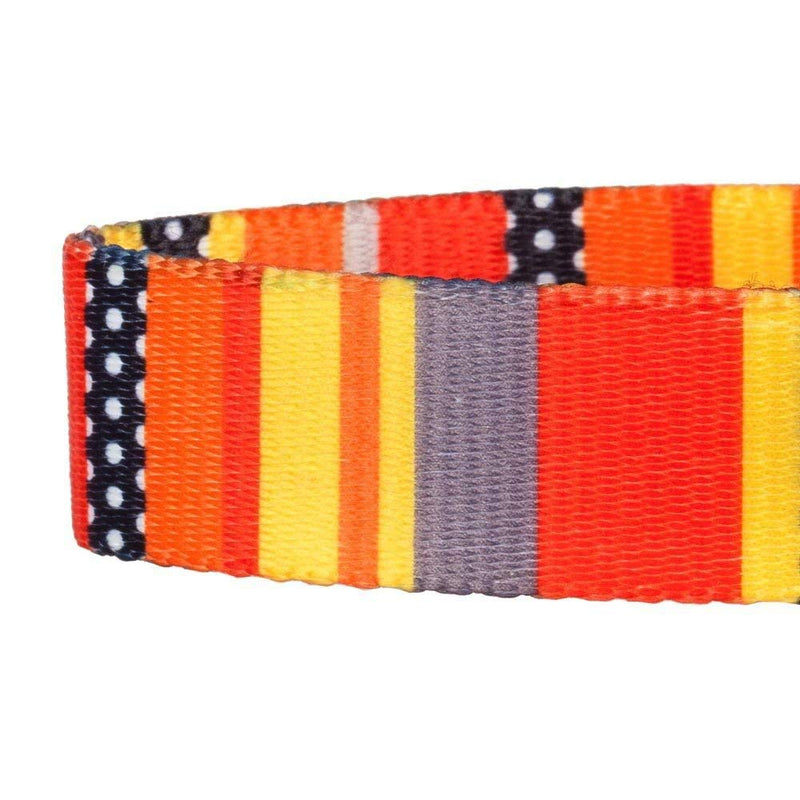 [Australia] - Blueberry Pet Perfect Rainbow or Multi-Colored Stripe Dog Collar Collar - (12"-16") Neck * 5/8" Wide Nautical Flags 