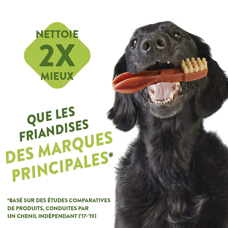 WHIMZEES Natural Dental Dog Chews Long lasting, Medium Toothbrush, 12 Pieces & Natural Dental Dog Chews Long lasting, Medium Alligator, 12 Pieces - PawsPlanet Australia