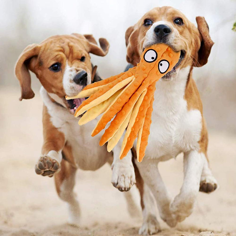 Qanye 2 pieces squeaky toys for dogs, dog toys, plush dog toys, dog toys without filling, for cleaning teeth, suitable for small and medium dogs - PawsPlanet Australia