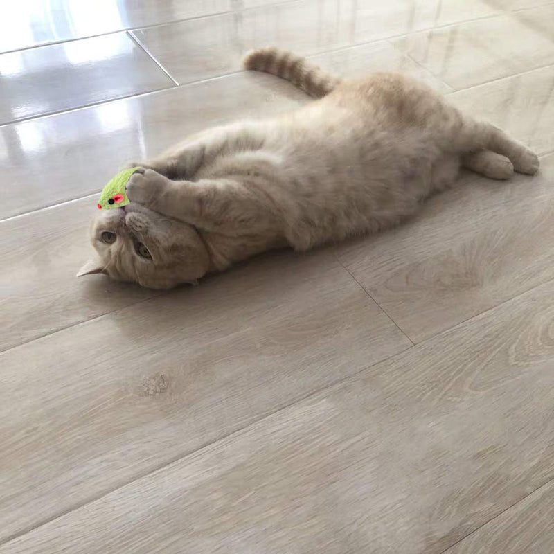 [Australia] - MeoHui 30PCS Catnip Toys for Cats, 5.5 Inches Faux Furry Catnip Mouse Toy with Rattle Noise, Rattling Fluffy Cat Toys Mice for Cat Kitten Exercise Interactive Play Fetch, 6 Colors Mixed Value Pack 