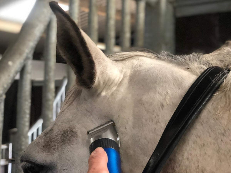 Masterclip Showmate Horse Cordless Hair Trimmer Adjustable cutting length | Professional Quality | Quiet, Rechargeable | BLUE - PawsPlanet Australia