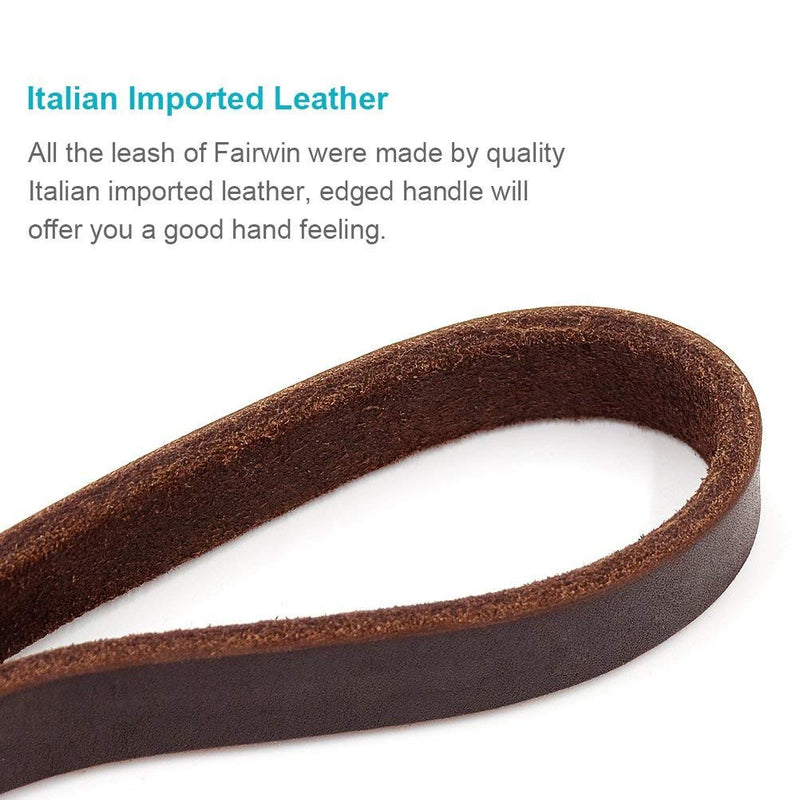 Fairwin Leather Dog Leash 6 Foot (5.6 Foot) - Leather Slip Collar Dog Leash - Genuine Handmade 6 ft Leather Leashes for Medium or Small Dog Training and Walking No Slip Leash 3/8" x 5 foot - PawsPlanet Australia