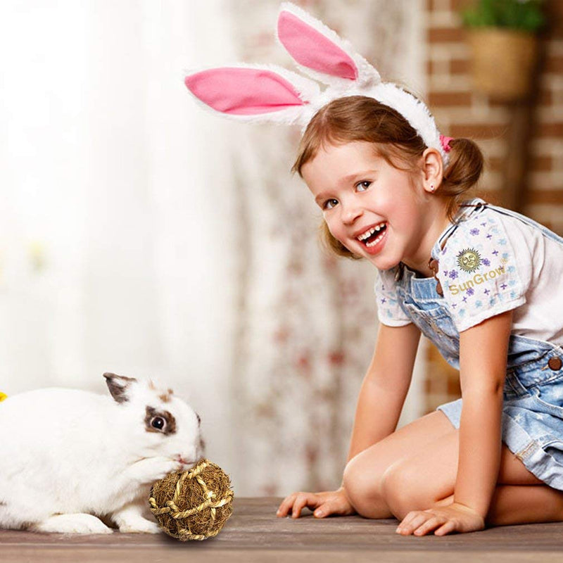[Australia] - SunGrow Coconut Fiber Rabbit Balls x 3 Pack, Improves Dental Health, 100% Natural Chew Toy, Provides Hours Stimulation, Environment Friendly, Stress Reliever, Ideal Bunny, Chinchilla & Kitten 