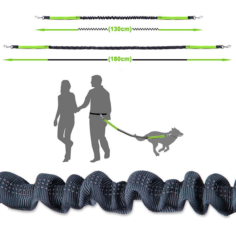 Aiqeer Gray Hands-Free Dog Lead, Adjustable Waist Belt and Stretchy Bungee Lead, Jogging Dog Lead with Reflective Stitching (Green Handle) - PawsPlanet Australia