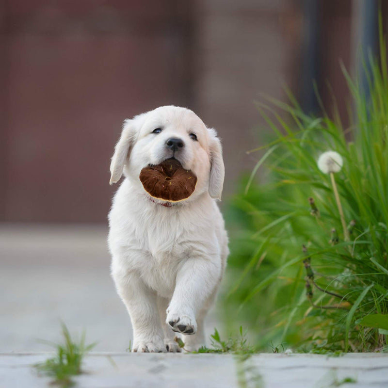 [Australia] - Fansport 13 Pack Dog Squeaky Toys Cute Plush Toys Stuffed Fruits Vegetables Dog chew Toy Squeaky Dog Toys for Puppy Small Dog Pets 