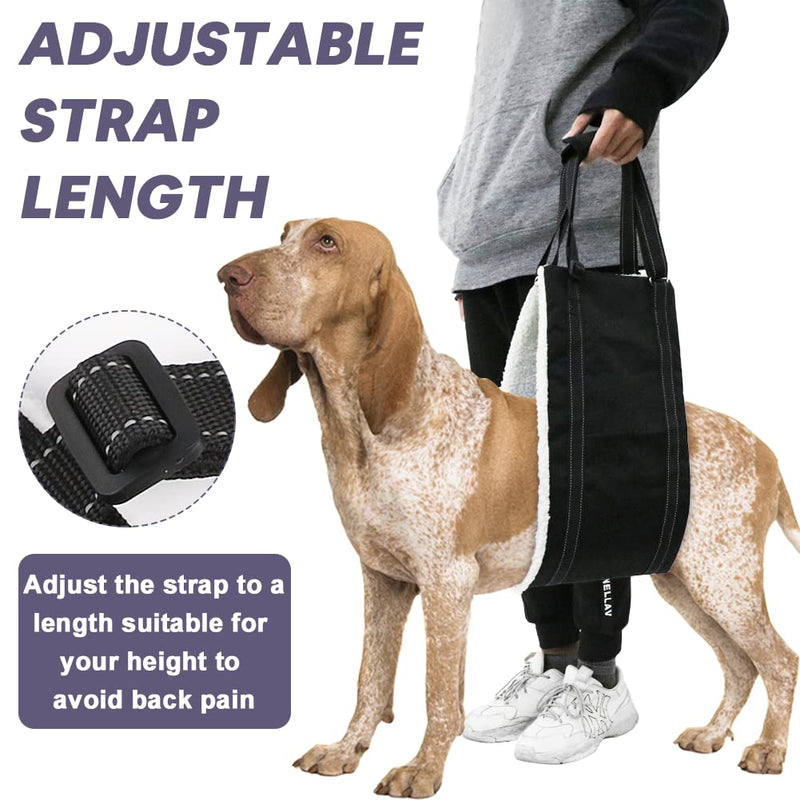 Petbobi Dog Sling for Large Dogs Hind Leg Support, Dog Hip Harness Support to Help Lift The Rear Legs for Older Dogs and Dogs with Limited Mobility, Suitable for 50-100+ LBS Dogs Large / Female Dog - PawsPlanet Australia