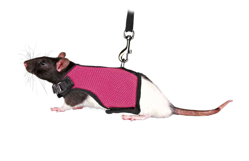 Trixie 61511 Soft Harness with Leash for Rats, Nylon, 12-18 cm, 1.20 m, Assorted Colors - PawsPlanet Australia