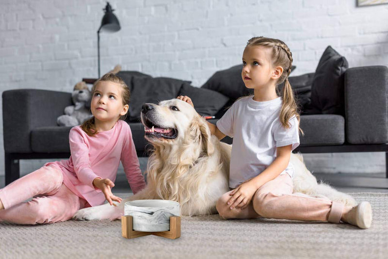 [Australia] - AG-UNICORN Ceramic Pet Bowls with Stand - Dog Cat Water Bowl and Food Dish -Heavy Weighted & No Tip Over Pet Comfort Feeding Bowls -Dishwasher Safe & Easy to Clean 1 pack 
