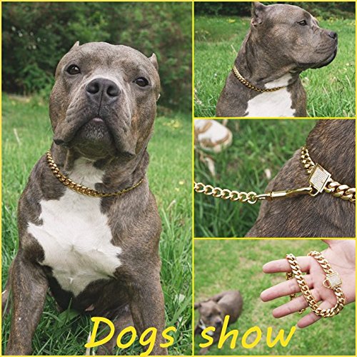 [Australia] - Abaxaca Top Luxury Dog Collar Personalizedl Stainless Steel 14mm 18K Gold Big Dog Luxury Training Collar Cuban Link with Zirconia Lock Necklace Chain for Dog 18 inch(for 15.6"~17.5"Neck) 
