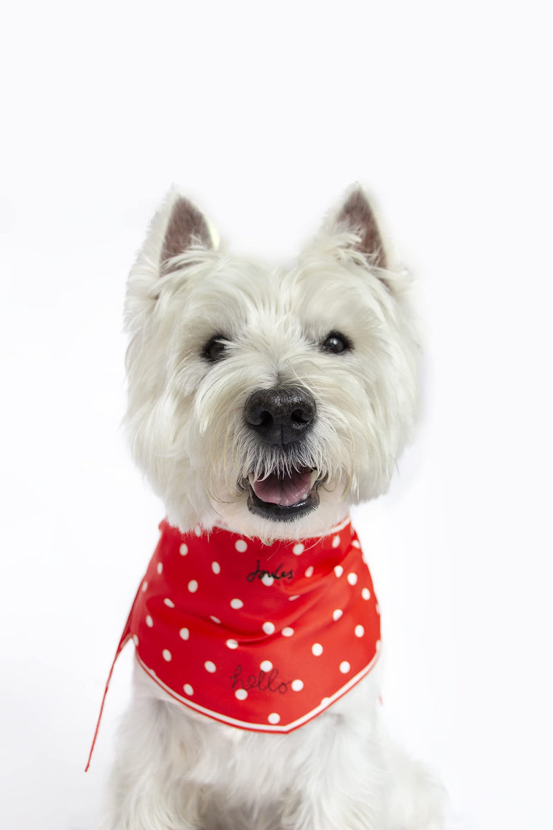 Rosewood Joules RED HELLO POLKA DOT NECKERCHIEF - PawsPlanet Australia