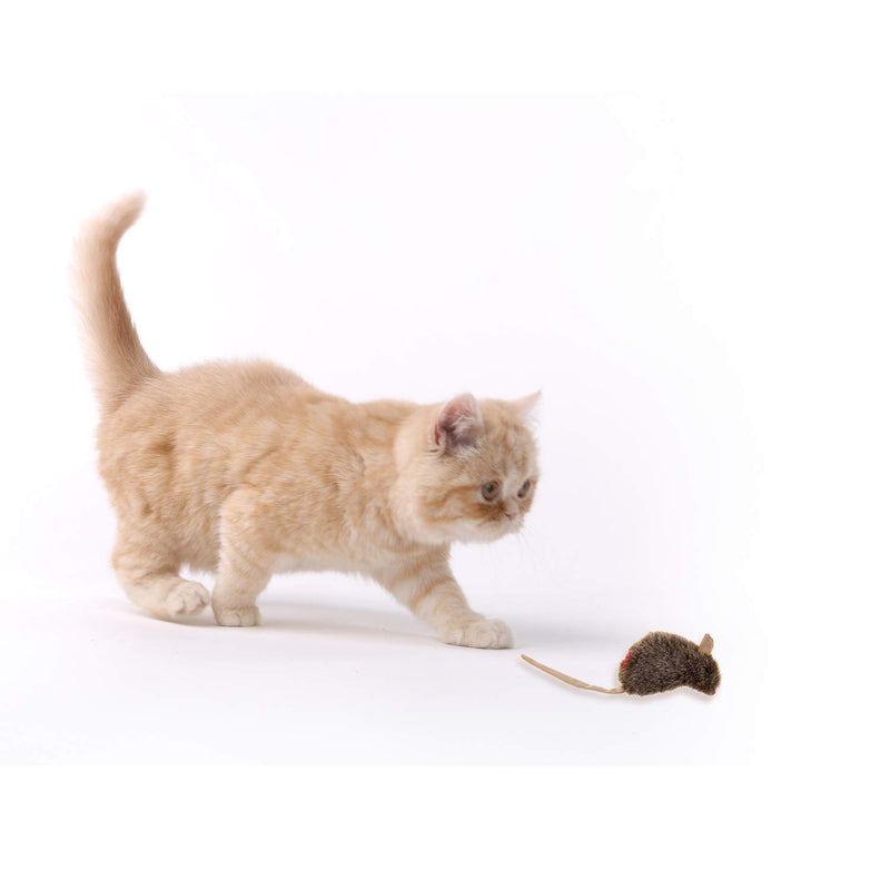 [Australia] - Gigwi Catnip Filled Cat Toys, Cute Design Cat Mice Toy with Catnip Teabag, Kitten Catnip Toys Soft& Safe Material for Cats Indoor Fabric Mouse 2 Pack 