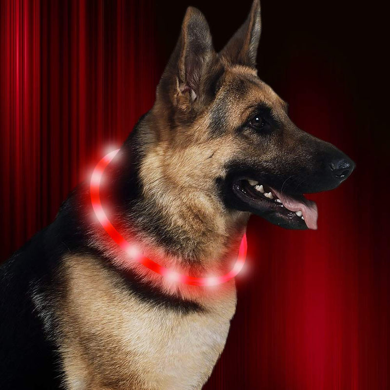 [Australia] - HiGuard LED Dog Collar, USB Rechargeable Glowing Pet Safety Collars, Adjustable Water-Resistant Flashing Light Up Necklace Collar Make Your Dogs High Visible & Safe in the Dark (1 Pack-Red) 