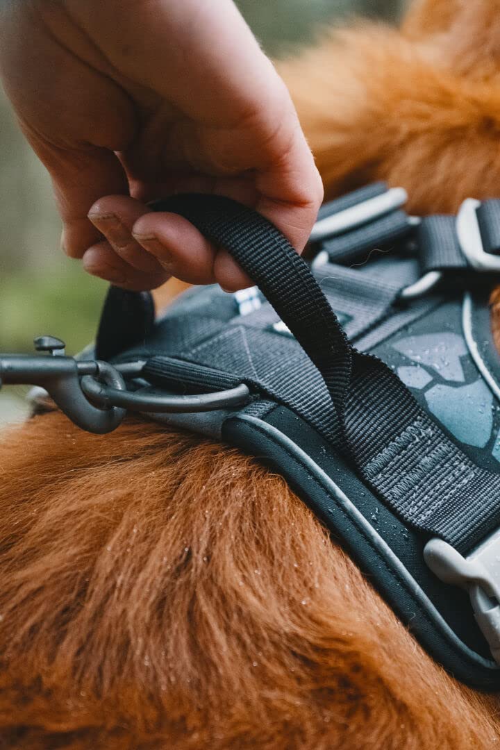 Hurtta Weekend Warrior Dog Harness, Chest Harness for Dogs, Black 45-60 cm Multi 18-24 in - PawsPlanet Australia