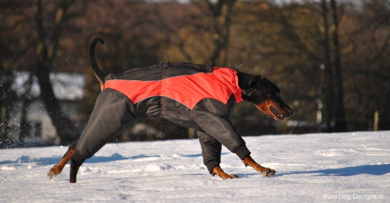 Euro Dog Designs Dakota Snow Suit Size:24M Color:Red - PawsPlanet Australia