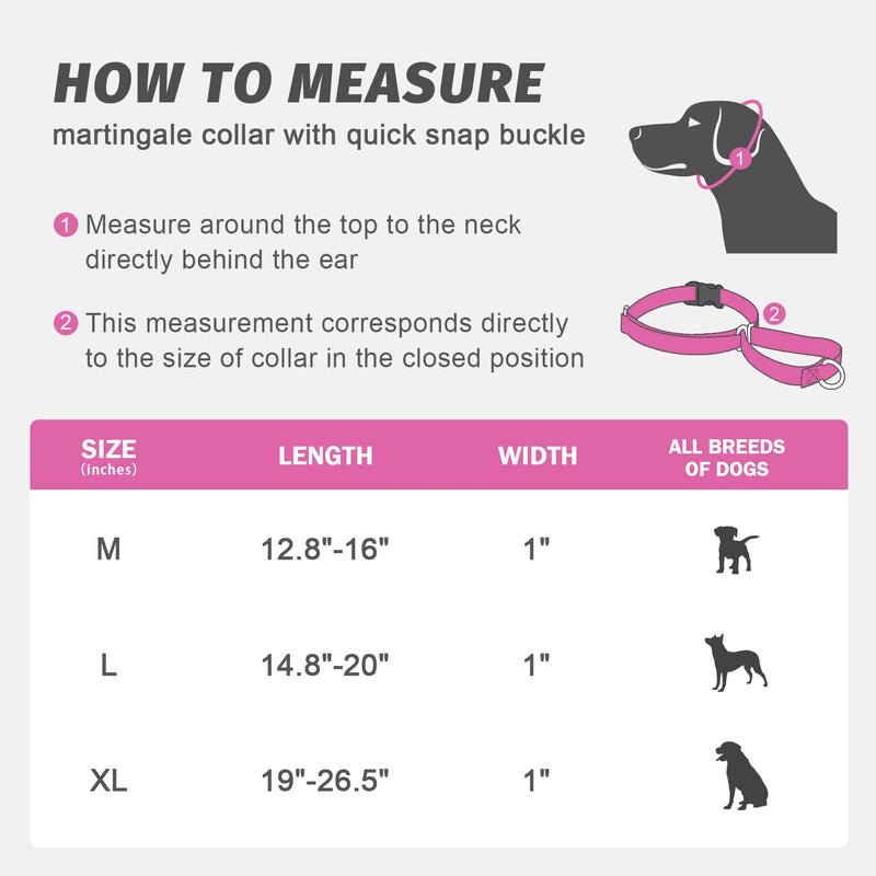 LUCKYDC Martingale Collar for Training Dogs. Adjustable Reflective Dog Collars with Buckle- NO Pull-Prevents Slipping Out, for Medium Large XL Dogs. Helps with Strong pullers(M, Black) - PawsPlanet Australia