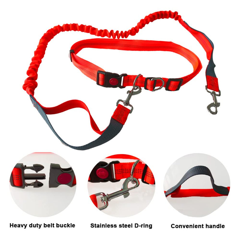QitinDasen Orange Hands-Free Dog Lead, Adjustable Waist Belt and Dual Handles Stretchy Bungee Lead, Jogging Dog Lead with Reflective Stitching (Grey Handle) - PawsPlanet Australia