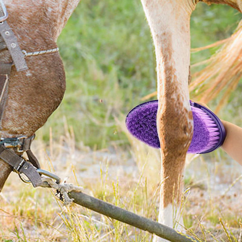Hillylolly horse brush, horse root brush, long bristles, soft horse brush, horse magic brush, horse cleaning brush, horse root brush for children and horse lovers, purple - PawsPlanet Australia