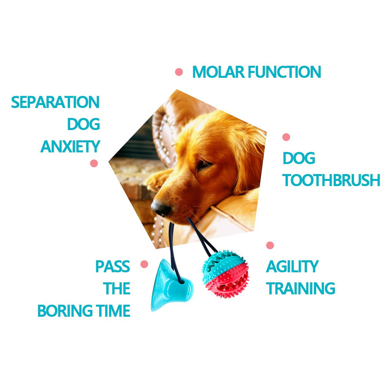 Happy Fox Dog Toys, Bite-Resistant Anti-Wear Balls, Food Spill Toys, Dog Tug-Of-War Rope Ball Sucker Toys, Used For Interactive Puppies Molar Training Rope (Color Box) - PawsPlanet Australia