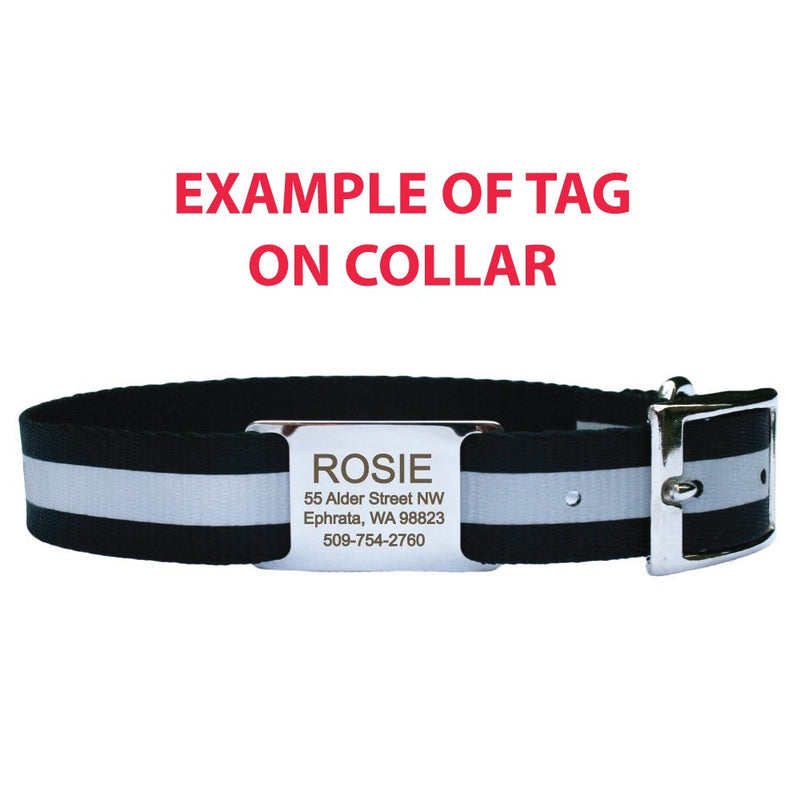 [Australia] - GoTags Pet ID Slide-On Personalized Dog & Cat Tags. Silent, No Noise Collar Tags Made of Stainless Steel. Custom Engraved. Includes up to 4 Lines of Personalized Text. Large 