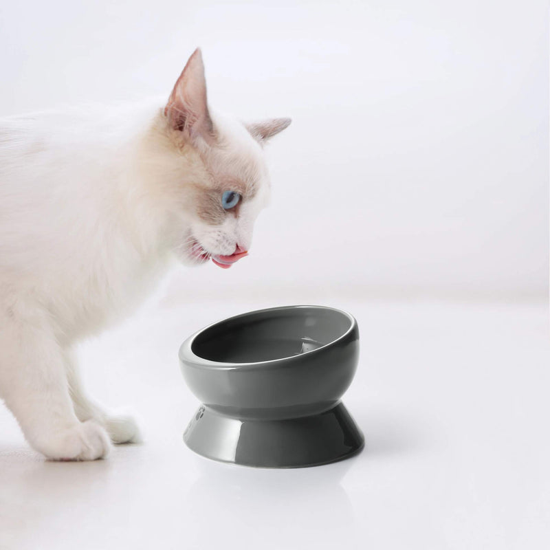 Y YHY Ceramic Raised Cat Food Water Bowl, 15 Ounce Slanted Cat Bowl, Tilt Angle Protect Cat's Spine, Stress Free, Backflow Prevention, Gift for Cat, Cat Dish, Grey - PawsPlanet Australia